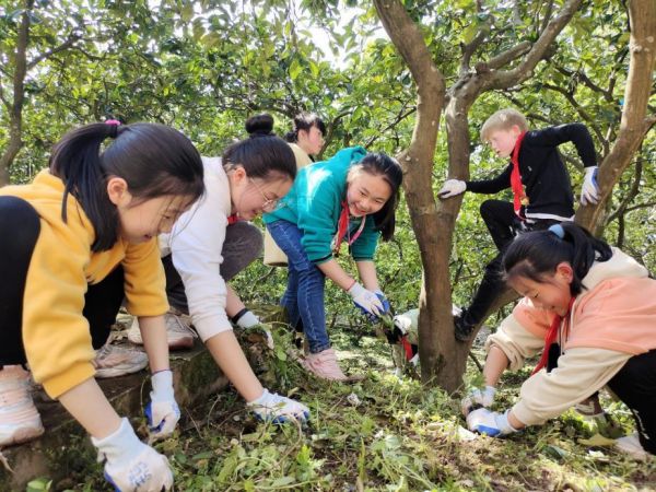 學(xué)生在勞動(dòng)實(shí)踐基地鋤草。實(shí)驗(yàn)小學(xué)供圖