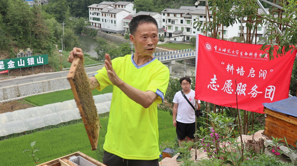 蜂農(nóng)展示蜂箱內(nèi)部結(jié)構(gòu)。重慶師范大學(xué)供圖