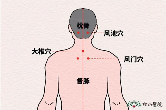 背部穴位。重慶松山醫(yī)院供圖