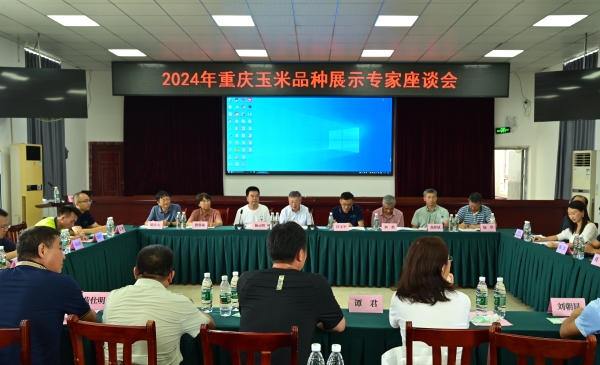 2024年重慶玉米品種展示專家座談會。李波攝