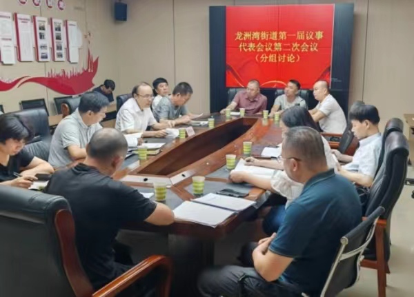 街道第一屆議事代表會議第二次會議分組討論。龍洲灣街道供圖