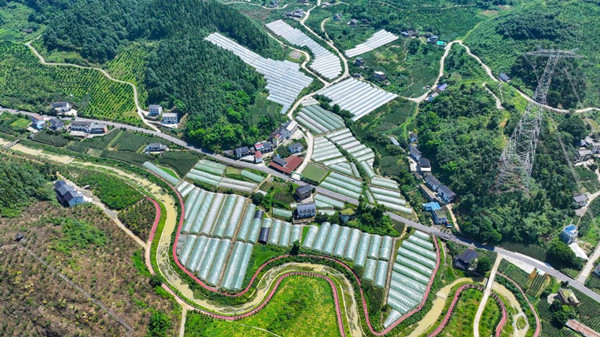 蜜李花溪農(nóng)民工返鄉(xiāng)創(chuàng)業(yè)園。杜浩攝