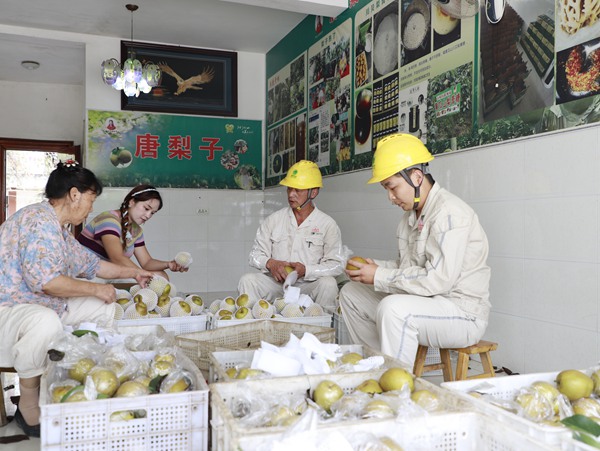 電力員工幫助包裝梨子。國網(wǎng)重慶永川供電公司供圖