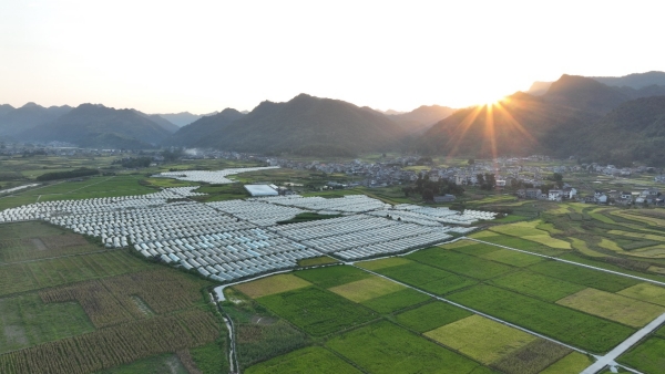 清溪場街道鄉(xiāng)村田園景色如畫。胡程攝