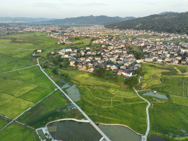 航拍清溪場街道鄉(xiāng)村田園景色。胡程攝