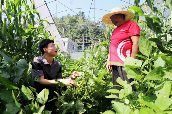 民生服務崗服務種植業(yè) 。黔江區(qū)委宣傳部供圖