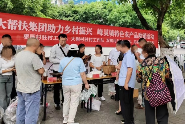 駐村干部開展駐地農(nóng)特產(chǎn)品幫扶銷售。平安人壽重慶分公司供圖