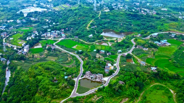 北碚縉云山環(huán)線。北碚區(qū)交通局供圖