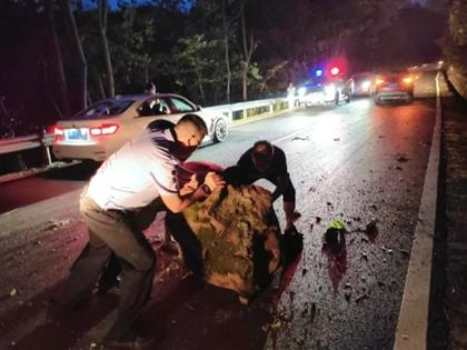 挪移落石。巴南交巡警供圖