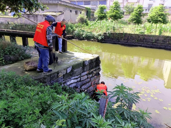 河道清淤、垃圾清除現(xiàn)場。藺市街道供圖