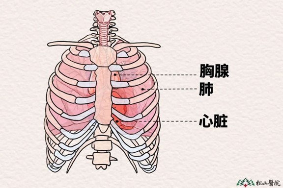 示意圖。重慶松山醫(yī)院供圖