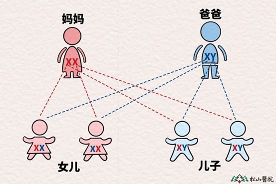性別示意圖。重慶松山醫(yī)院供圖