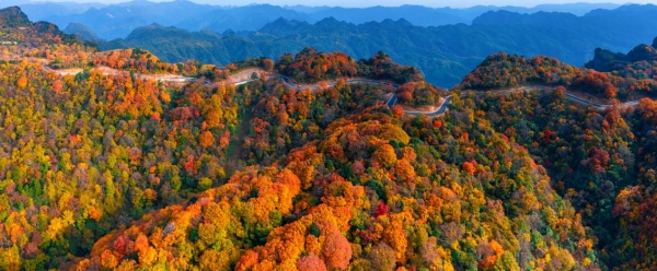旺蒼縣風(fēng)景如畫。主辦方供圖