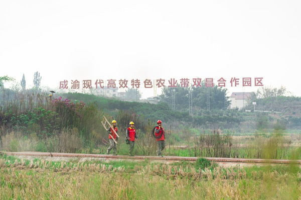 服務(wù)隊(duì)在雙昌園開展電力巡檢。國網(wǎng)重慶永川供電公司供圖