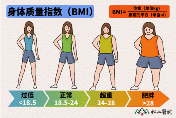 BMI參考范圍。重慶松山醫(yī)院供圖
