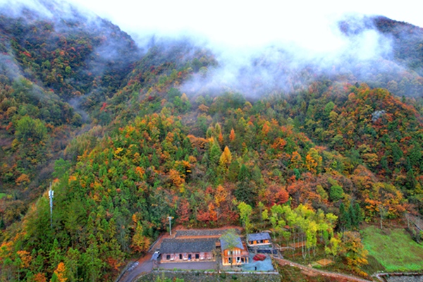 城口縣北屏鄉(xiāng)松柏村問山片區(qū)環(huán)境優(yōu)美。北屏鄉(xiāng)政府供圖