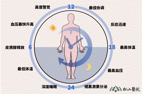 24小睡眠生理周期。重慶松山醫(yī)院供圖