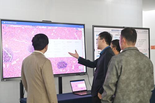10月22日，西部（重慶）科學(xué)城，金鳳實驗室2024年度科技成果發(fā)布會現(xiàn)場，嘉賓正在關(guān)注科技成果展。首席記者 龍帆 攝