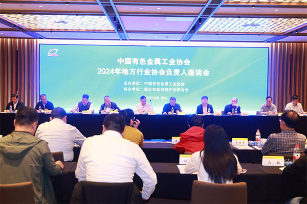 會議現(xiàn)場。主辦方供圖
