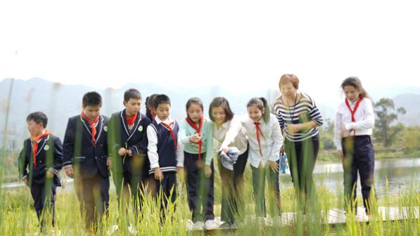 楊君玲帶學(xué)生到雙桂湖濕地公園上濕地自然課。受訪者供圖