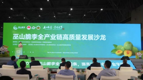 活動現(xiàn)場。主辦方供圖