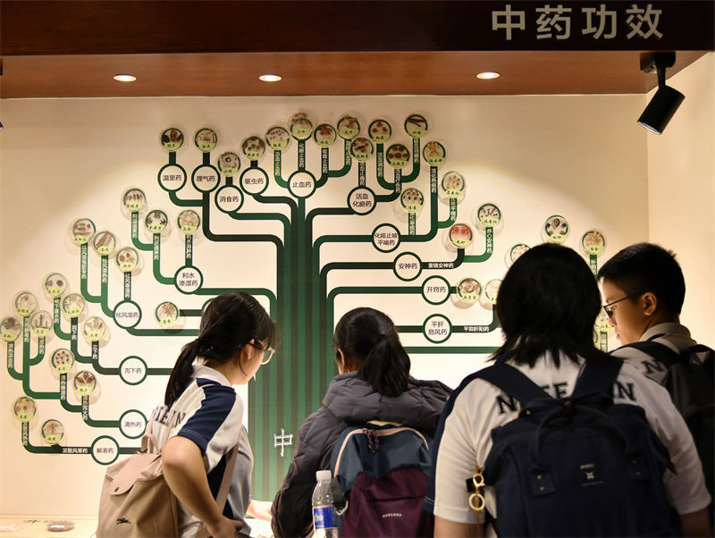 10月28日，30名來自新加坡的師生走進重慶市中藥博物館參觀見學，圖為師生們正在參觀各類中藥材標本。唐志勇攝