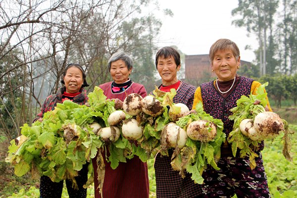 村民收獲蔬菜。銅梁區(qū)委宣傳部供圖