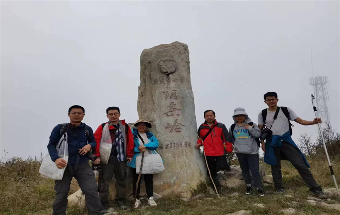重慶市中藥研究院中藥資源團隊成員在陰條嶺。危永勝拍攝
