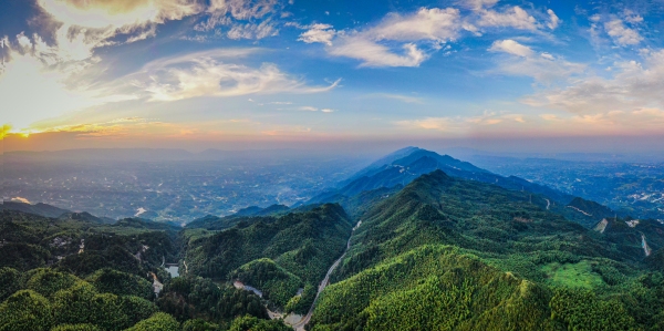 茶山竹海景區(qū)。陳科儒攝