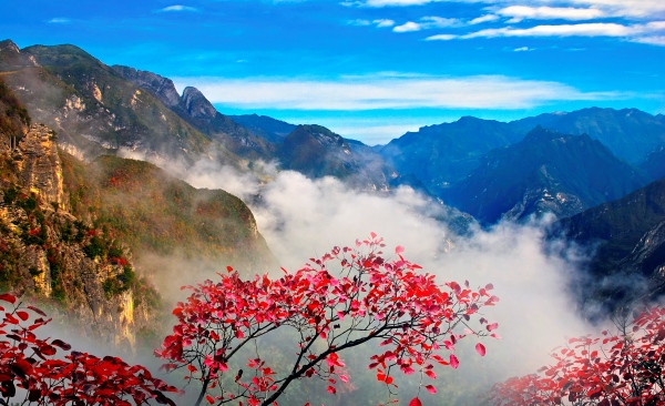 巫溪風(fēng)景如畫。巫溪縣文化旅游委供圖