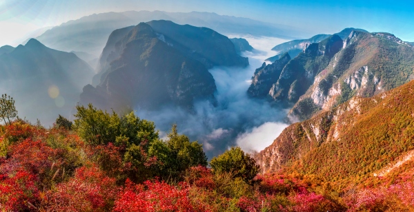 巫峽·神女景區(qū)紅葉正紅。巫山縣委宣傳部供圖