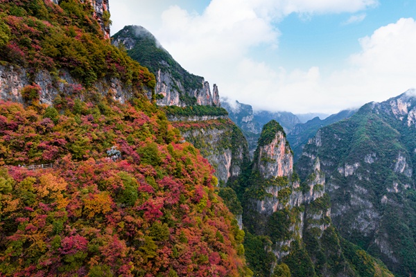 巫山神女峰景區(qū)。主辦方供圖