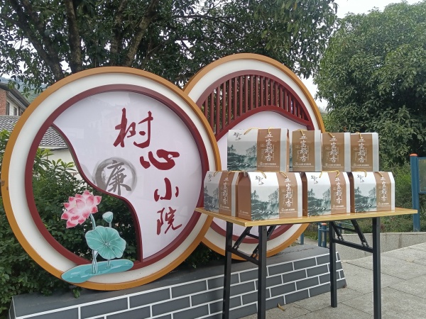 五寶鎮(zhèn)大樹(shù)村“樹(shù)心小院”。江北區(qū)委宣傳部供圖