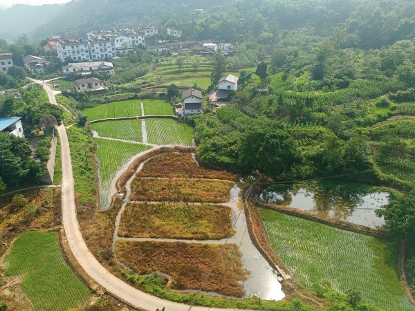 美麗鄉(xiāng)風(fēng) 新風(fēng)景。江北區(qū)委宣傳部供圖