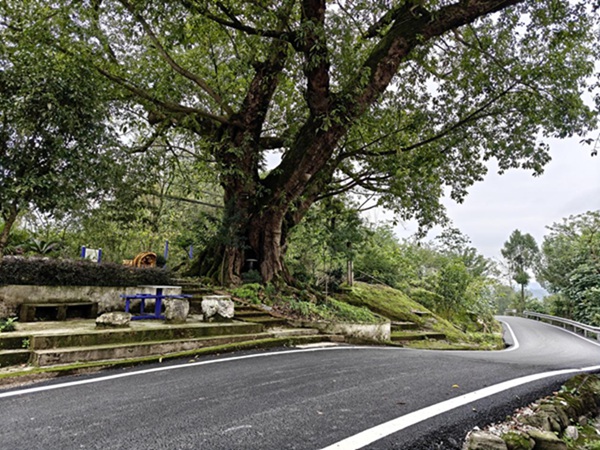 鄉(xiāng)村環(huán)境變優(yōu)美。肖啟嫣攝