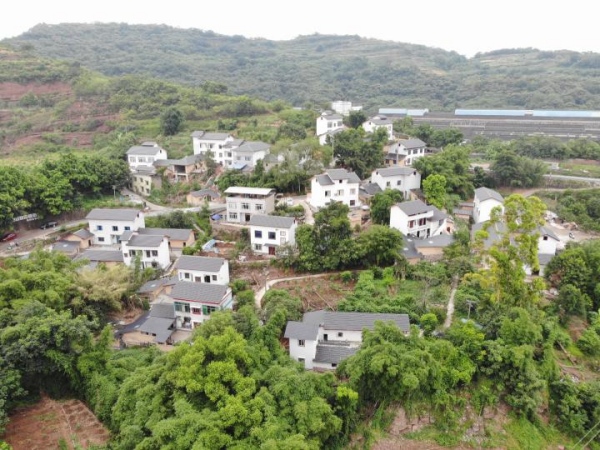 房屋風(fēng)貌整治后，長安村灰白相間的農(nóng)房為成為美麗的風(fēng)景線。受訪者供圖