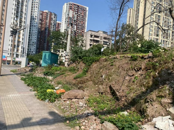 云龍大道整治前。九龍坡區(qū)城管局供圖
