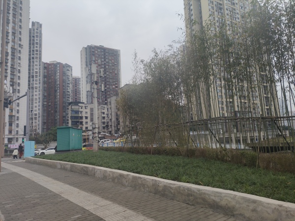 云龍大道整治后。九龍坡區(qū)城管局供圖