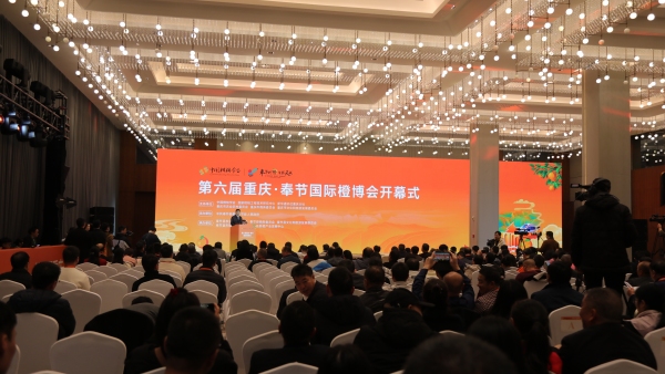 第六屆重慶·奉節(jié)國(guó)際橙博會(huì)開(kāi)幕。劉濱清攝