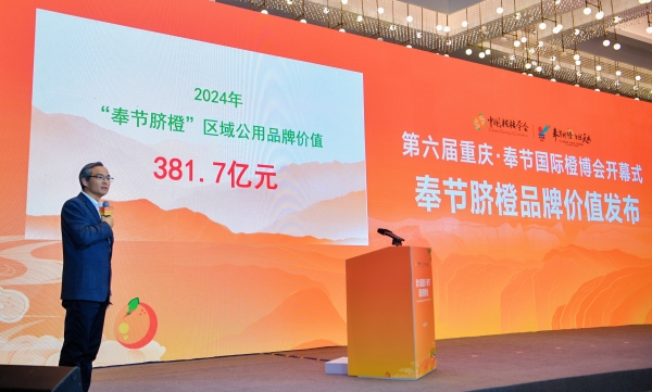 2024年奉節(jié)臍橙的區(qū)域公用品牌價(jià)值為381.7億元。奉節(jié)縣委宣傳部供圖