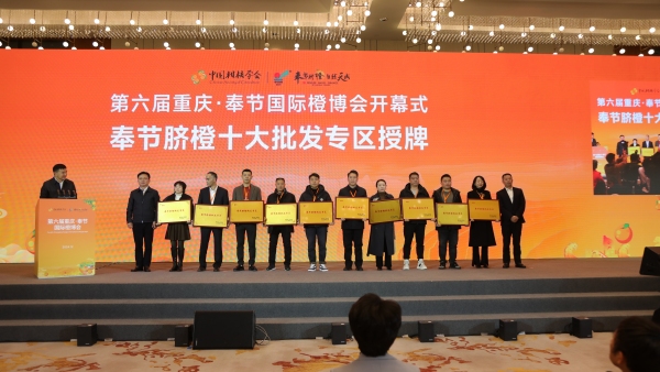 奉節(jié)臍橙十大批發(fā)專區(qū)授牌。劉濱清攝