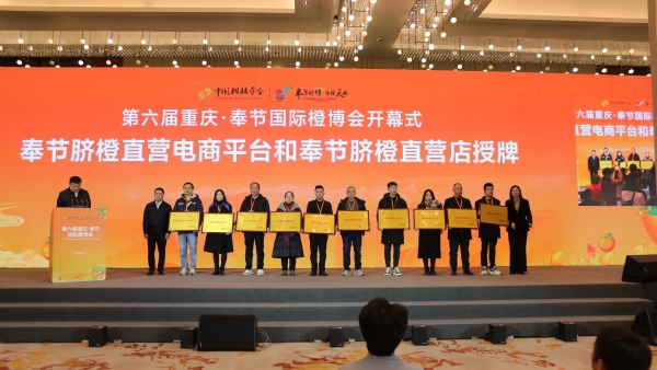 奉節(jié)臍橙直營(yíng)電商平臺(tái)和奉節(jié)臍橙直營(yíng)店授牌。劉濱清攝