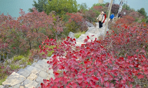 “三峽之心”環(huán)線徒步游，游客賞紅葉。熊威攝
