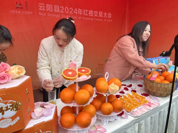 現(xiàn)場(chǎng)售賣云陽紅橙。任峰攝