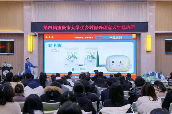 總決賽現(xiàn)場。主辦方供圖