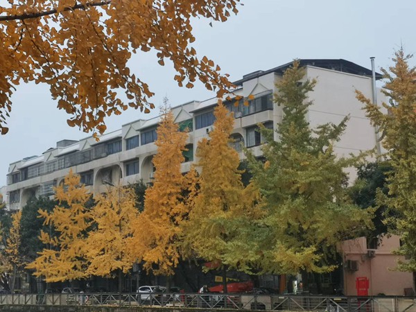 改造后的小區(qū)。璧山區(qū)住房城鄉(xiāng)建委供圖