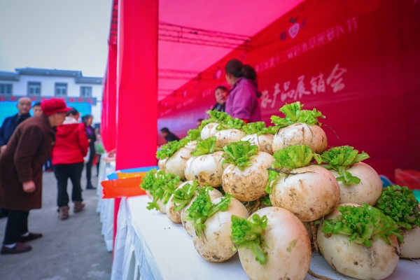 趕水草蔸蘿卜節(jié)上，各色農(nóng)產(chǎn)品熱賣。陳星宇攝