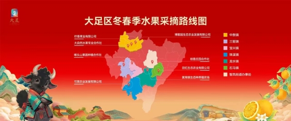 大足冬春季水果采摘路線圖。大足區(qū)委宣傳部供圖