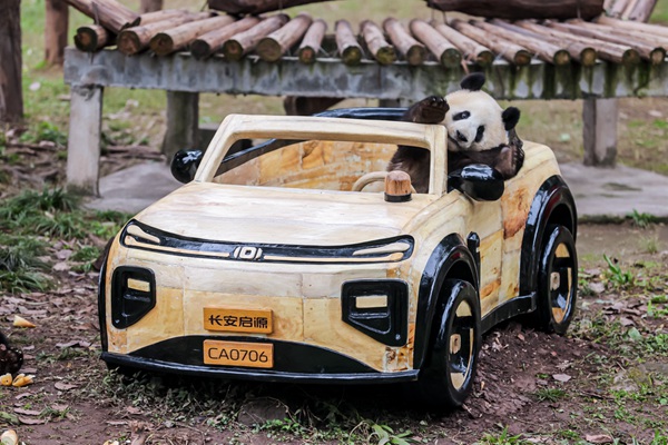 莽燦燦換新車(chē)。長(zhǎng)安啟源供圖
