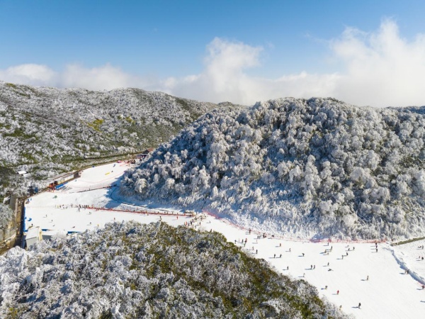 金佛山雪景。金佛山供圖